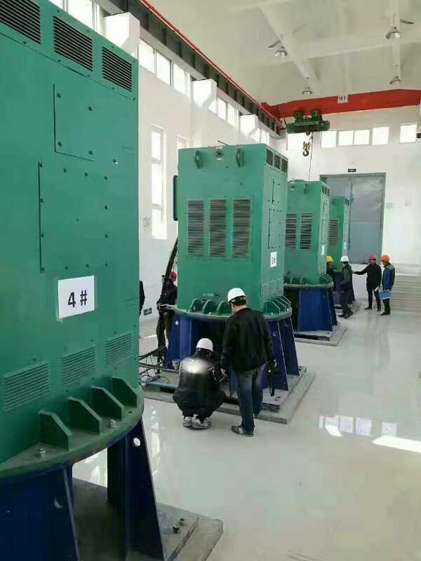 崇州某污水处理厂使用我厂的立式高压电机安装现场