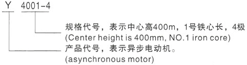 西安泰富西玛Y系列(H355-1000)高压崇州三相异步电机型号说明